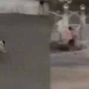 erol kosenin kizi dijandan pes dedirten paylasim kucuk kiz korkusundan denize atladi cMNcXv3u