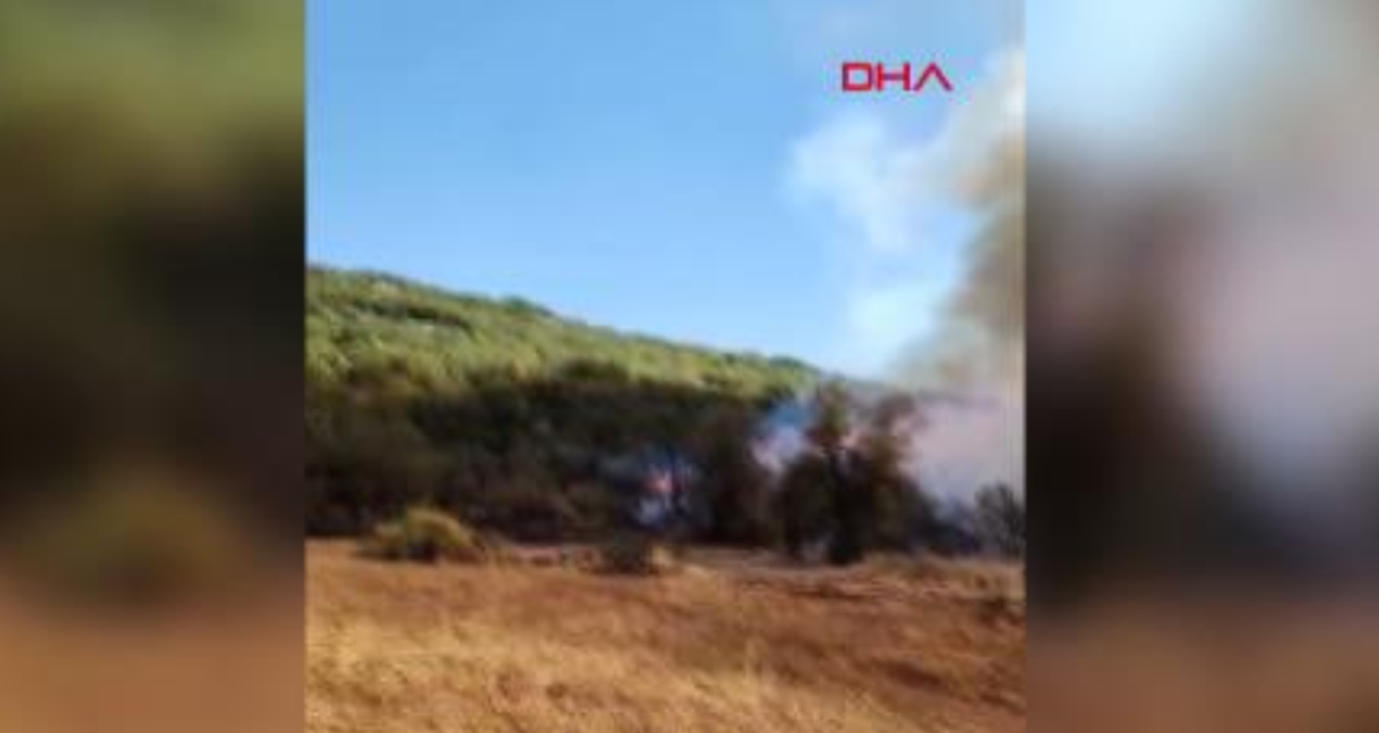 burdurda orman yangini 6kDBS2D9