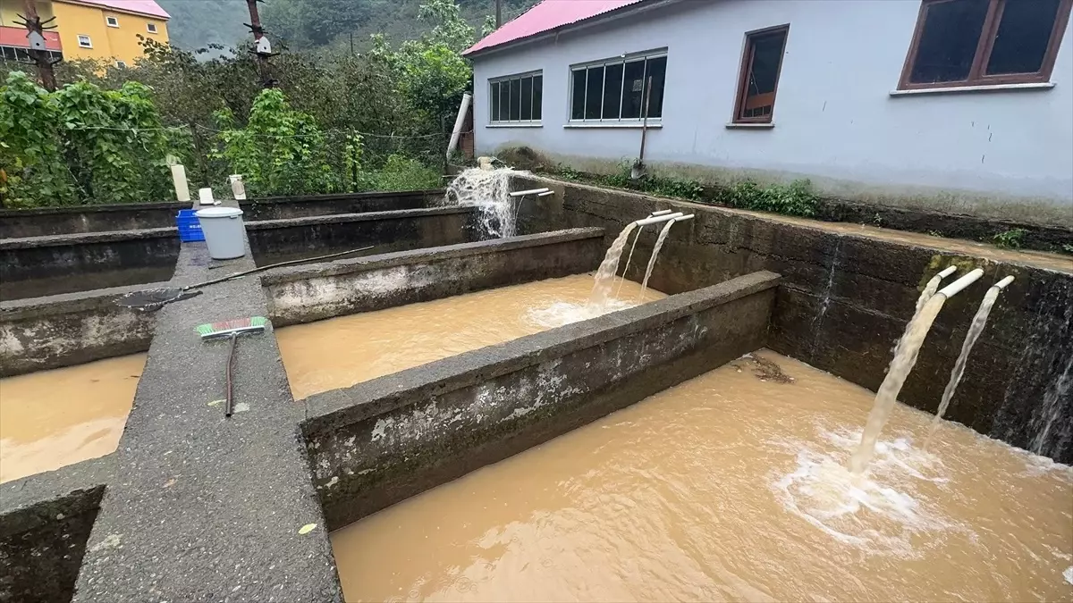 giresunda saganak heyelanlar ve su baskinlari OfYTswyF