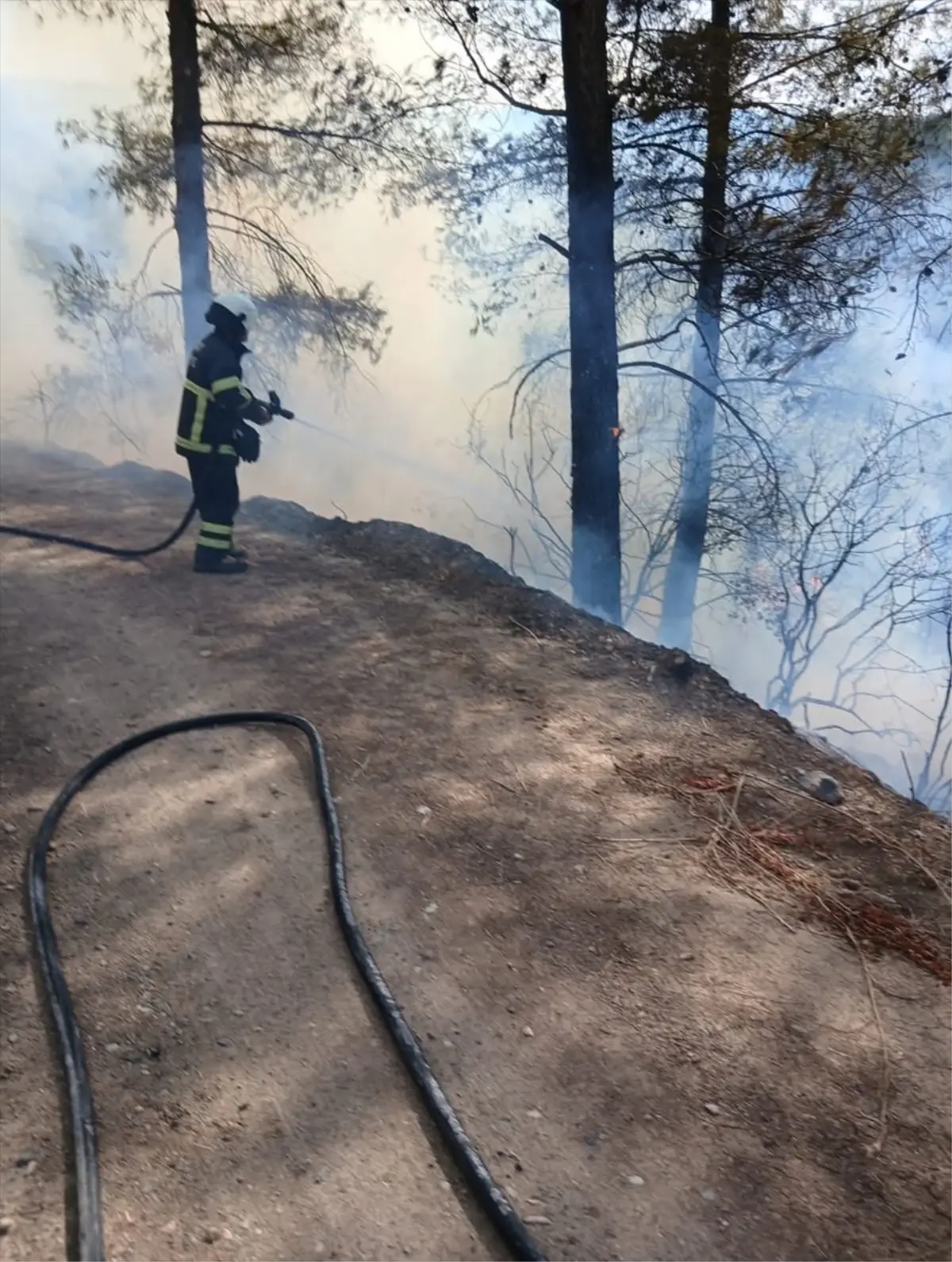 erzinde orman yangini kontrol altina alindi Gi7bwJwg