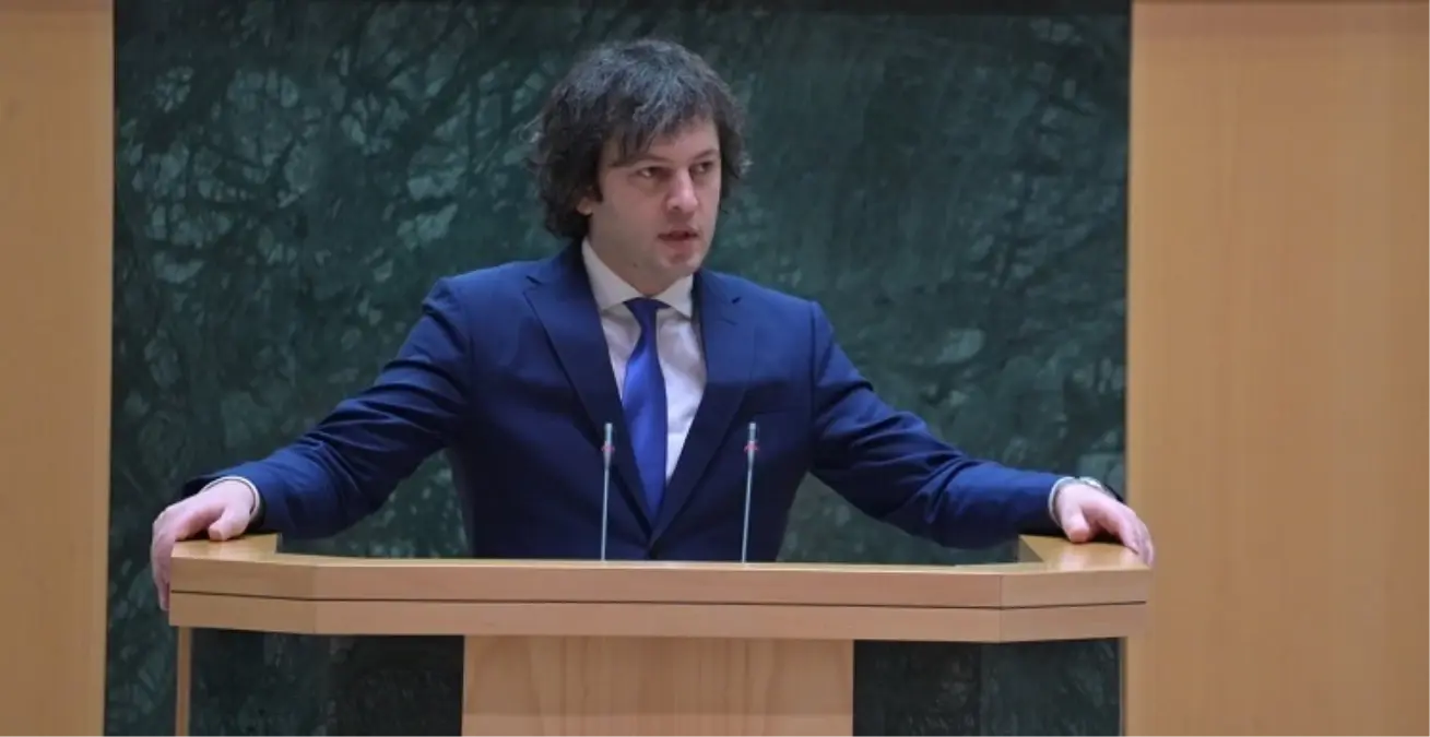 gurcistan basbakani yerel secim gosterileri hukumeti devirmek icin duzenlendi ZnQwxv7M