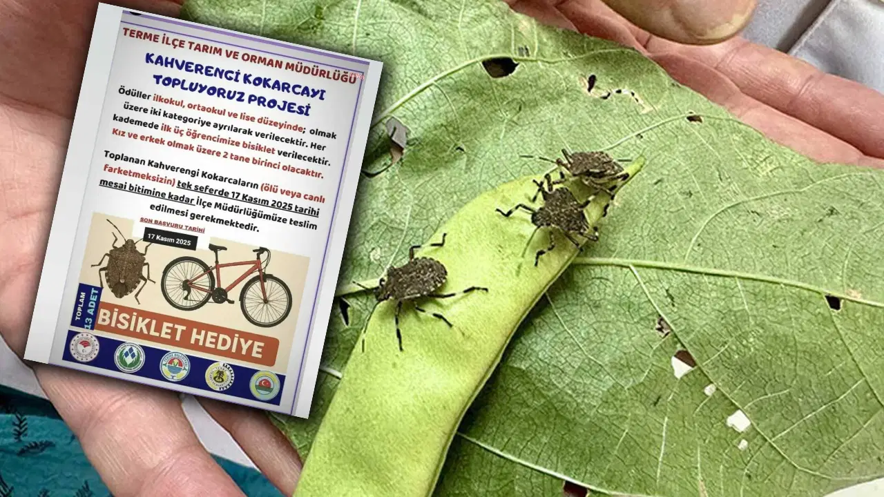 kokarca toplama projesine chpden tepki bilimle mucadele edecegimize cocuklari kullaniyoruz Ys6q4Ney.jpg