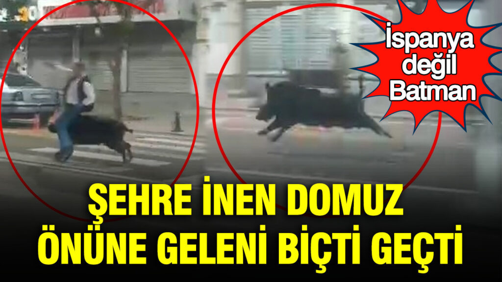 İsrail, 15 Filistinli Esiri Serbest Bıraktı