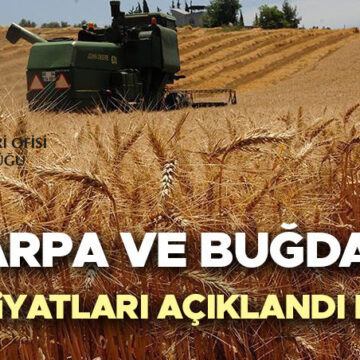 2026 TMO Buğday Fiyatları: Ne Bekleniyor, Arpa Fiyatları Açıklandı mı?